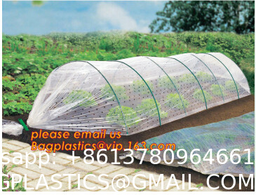 Transparent Low Tunnel Film Perforated For Culture Of Seedling Maturing Vegetables perforated red plastic mulch