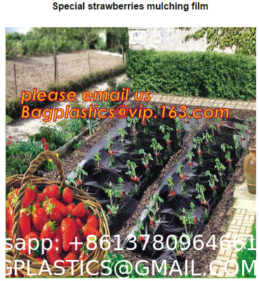 Transparent Low Tunnel Film Perforated For Culture Of Seedling Maturing Vegetables perforated red plastic mulch