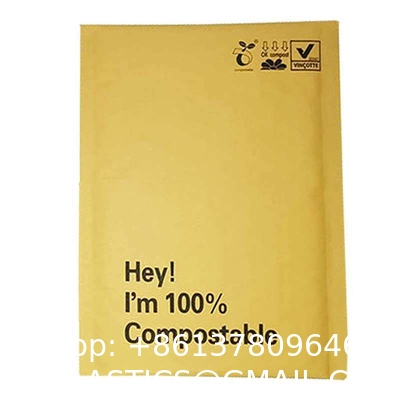 Recyclable Holigraphic Custom Eco Friendly Biodegradable Padded Compostable Bubble Mailer Mailing Bags
