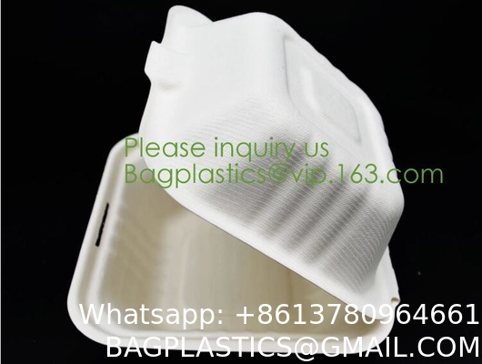Tableware Bagasse Plate Bagasse Containers Bagasse Clamshell Bagasse Tray Bagasse Cup Bagasse Lids Bagasse Cutle