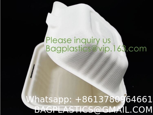 Tableware Bagasse Plate Bagasse Containers Bagasse Clamshell Bagasse Tray Bagasse Cup Bagasse Lids Bagasse Cutle