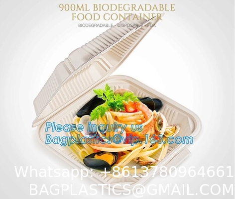 Tableware Bagasse Plate Bagasse Containers Bagasse Clamshell Bagasse Tray Bagasse Cup Bagasse Lids Bagasse Cutle