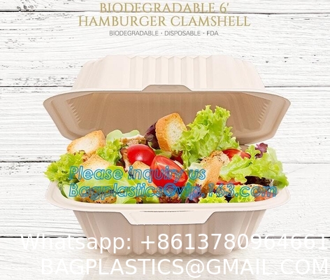 Tableware Bagasse Plate Bagasse Containers Bagasse Clamshell Bagasse Tray Bagasse Cup Bagasse Lids Bagasse Cutle