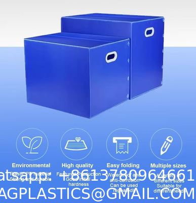 Customizable PP Plastic Storage Box Multi-Size Foldable Moving Organization Boxes 4mm Thickness Cut Processed To Order
