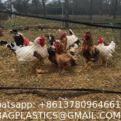 Chicken Coop Predator Proof Apron,Chicken Wire Bottom Predators Resistant,Fence Netting Barrier For Chicken Coop