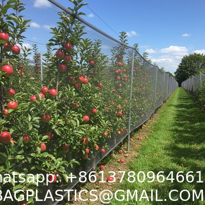 Anti Hail Net Agriculture Mesh HDPE Apple Tree Garden Hail Proof Netting Polyethylene Cheap Price Hail Guard Net Car Hail Protection Net Anti-Insect Hail Netting for Agricultural Apple Trees
