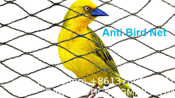 Durable Anti-Bird Trapping HDPE Netting PE Vineyard New Material Bee-Free For Winery Garden Farm & Hunting
