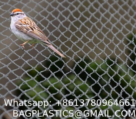 Durable Anti-Bird Trapping HDPE Netting PE Vineyard New Material Bee-Free For Winery Garden Farm & Hunting