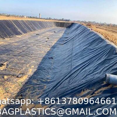 Standard HDPE Geomembrane Pond Liner 1.5mm Black Industrial Modern Design For Agricultural Irrigation Geomembrane Sheet Hdpe Fish Pond Liner