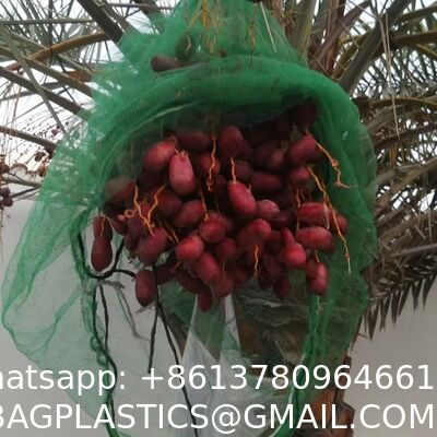 ANTI INSECT BAG DATE MESH BAG MONO MESH BAG RASCHEL MESH BAG LENO MESH BAG ONION MESH BAG POTATO MESH BAG Shade Net balcony net Roll Window Blinds