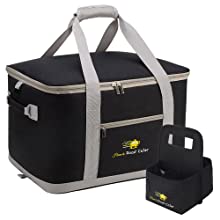 Borsa di consegna dell'alimento