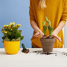 Bottiglie libere di BPA con signor regolabile nero della pianta dell'ugello spruzzatore con appannare corrente per la Camera