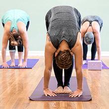 Yoga Studio Mist Bottle Tool Gardening Plant Yard Garden Bonsai Outside or Inside Greenhouse Tools