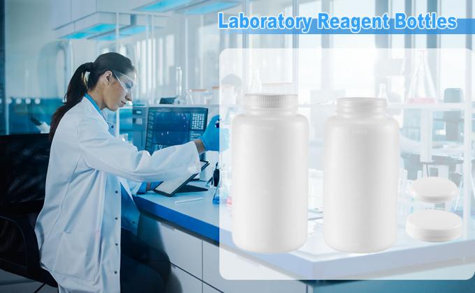 Recipiente di reazione