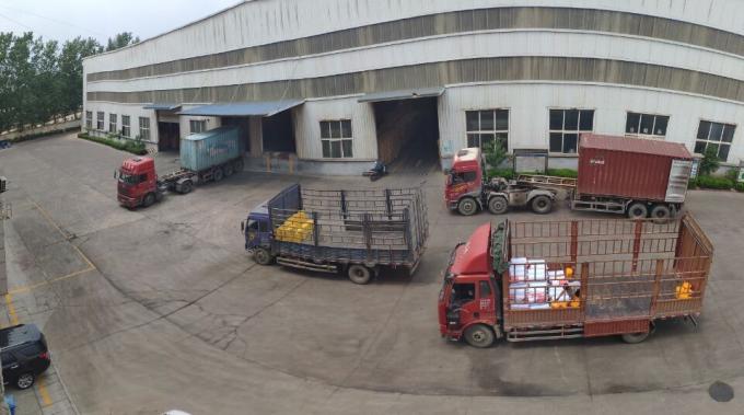 Accessori dello sportello del rullo, contenitore di primavera dell'otturatore del rullo del contenitore di primavera del ferro, motore apri della porta con la ripresa esterna 2 10