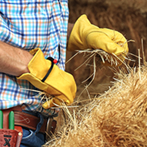 Forti guanti durevoli del lavoro