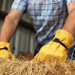 Tutt'intorno forti guanti del lavoro per qualsiasi lavoro