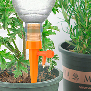 Plant Self Watering Spikes