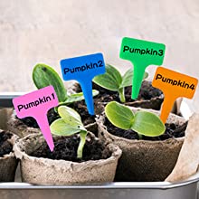 Etichette della pianta