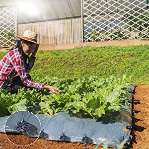 Paesaggio Staples ed insiemi di riparazione della guarnizione