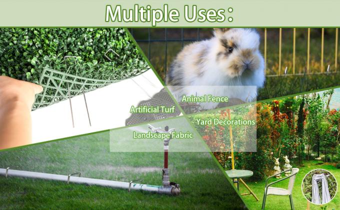 Paesaggio Staples ed insiemi di riparazione della guarnizione