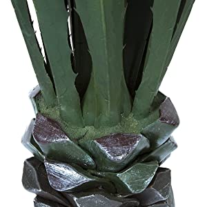 Pianta gigante del pavimento dell'agave