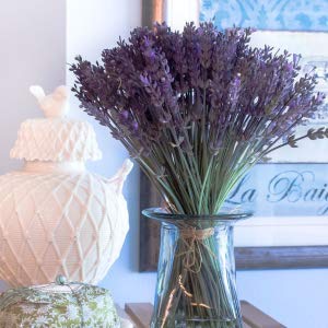 Albero di plastica di Naturale-progettazione di tocco della pianta degli alberi della grande dell'aloe decorazione domestica artificiale reale senz'acqua di Vera Simulation 1.25m 10