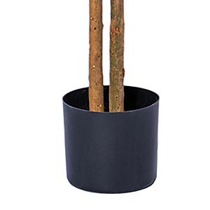 Immagine del dettaglio