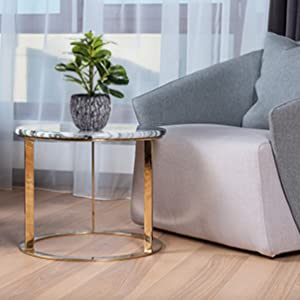 pianta falsa per il bagno