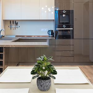 piante false per la camera da letto estetica