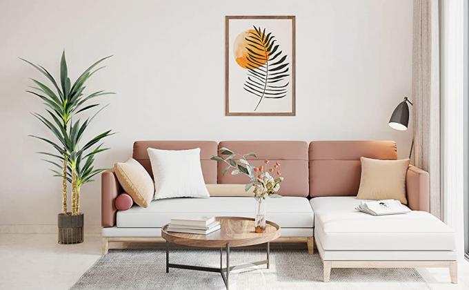 Bring Nature to Your Home