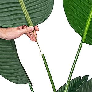 Immagine del dettaglio