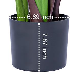 Immagine del dettaglio