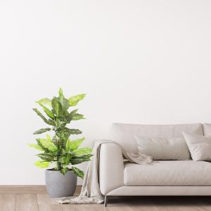 B098BQB95K - Modulo 3,3