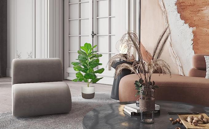 fiddle leaf fig tree 78cm