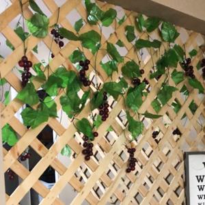 Decorazione del recinto