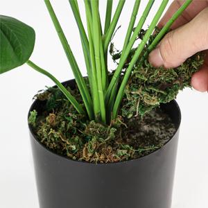 piante false del pavimento della decorazione delle piante della decorazione del salone per le piante in vaso false dell'interno delle piante false della decorazione