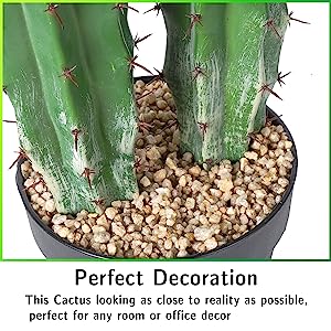 Artificial Cactus