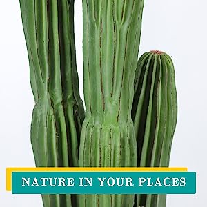 Cactus artificiale