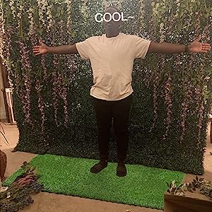 mattonelle dell'erba per il partito