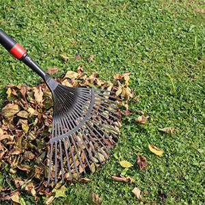 Borse dello spreco di iarda