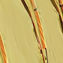 Adulti della gazzella della cabina della berlina del rimorchio della porta posteriore del camion di SUV i grandi condiscono antivento ultraleggero glamping