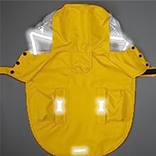 Le decalcomanie dell'osso sono molto riflettenti.