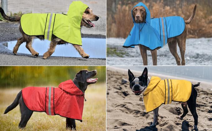 dog raincoat