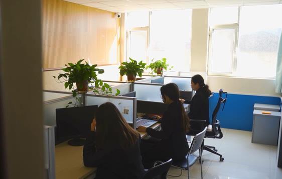 1kg su ordinazione 5kg 10kg 15kg stanno sulla borsa del fondo di Cat Food Resealable Packaging Flat del cane di animale domestico del sacchetto con la chiusura lampo 13