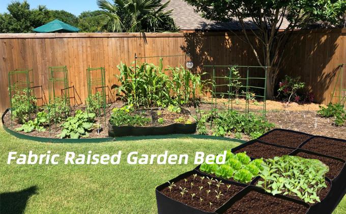 raised garden bed