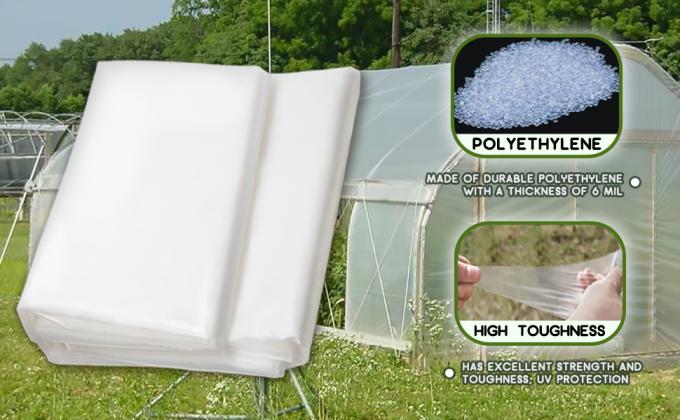 greenhouse plastic sheeting