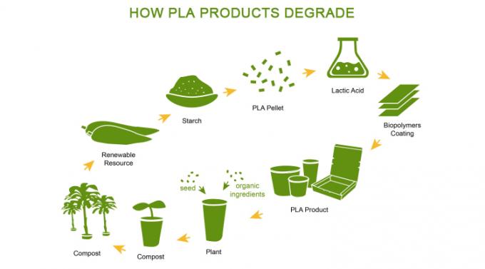 OEM Custom Logo 100% Bio Compostable PLA Transparent Cups Smoothie Beer Wine Beverage Ice CE Cold Disposable Drink To Go Cup