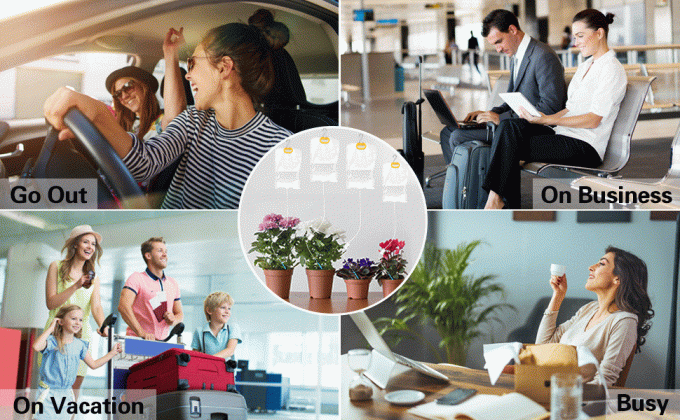 Sacchetti per l'irrigazione delle piante, sacchetti per l'acqua a goccia per interni 1.72 gal/6.5L 4