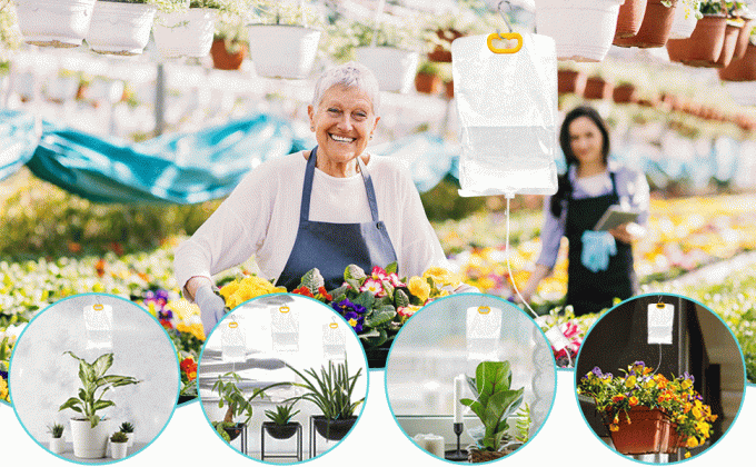 Sistema di auto-irrigazione per piante durante le vacanze, sacca d'acqua per piante IV, dispositivo per l'irrigazione delle piante da interno, kit di irrigazione a goccia per piante in vaso con irrigazione automatica per 30 giorni 2